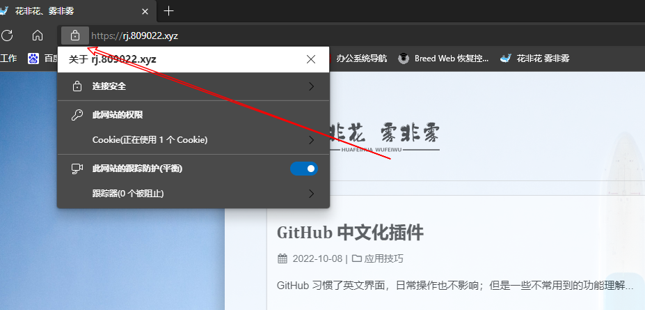 点击放大图片 SSL上锁效果